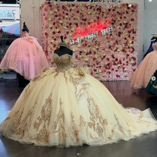 Champagne Quinceanera Dresses Glitter Gold Appliques Sweet 16 Prom Ball Gown picture