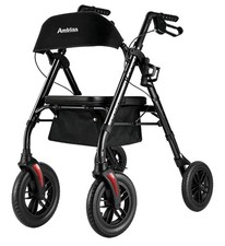 Ambliss 10