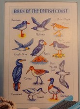 British Coast Birds CROSS STITCH PATTERNS Carefully removed from a magazine. picture
