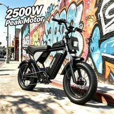Bopzin Electric Bike for Adult 2500W Peak 48V 25Ah 20'' Fat Tire Off-Road E-Bike picture