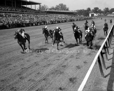 Decidedly 1962 Kentucky Derby Photo 8