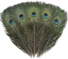 12 PCS Real Natural Peacock Eye Feathers 10-12 inch for DIY Craft, Wedding...  picture