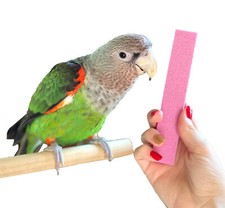 Parrot Nail Trimmer Stone from Parrot Wizard - Easy Parrot Claw Grooming picture