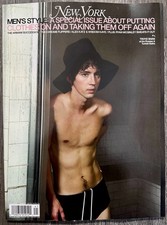 NEW YORK MAGAZINE - SPECIAL ISSUE  FALL 2026 -TROYE SIVAN- BRAND NEW picture