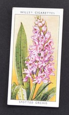 1936 Wills's Wild Flowers Series Cigarette Card No. 26 Spotted Orchis picture