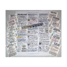 Victory Po Wargame Lost Cause Expansion Kit - The American Civil War, 1 Bag EX picture