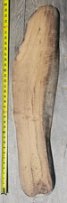 River Salvaged Fiddleback Myrtlewood Live Edge Slab (Rare) picture