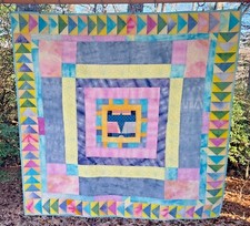 Flying Low and Slow Quilt 47”X47” Handmade Hand Dyed Fabrics  picture
