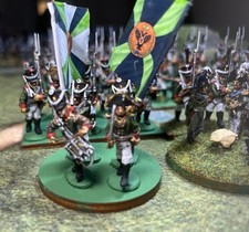 28mm Russian Napoleonic Painted (84 Figures) Warlord Miniatures picture