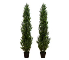 Nearly Natural 6 ft. Artificial Topiary Cedar Tree UV Resistant (Indoor/Outdoor) picture