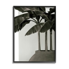 Stupell Industries Modern Tropical Palm Monochromatic Cement Planter picture