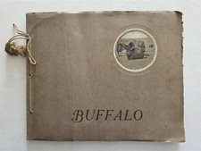Buffalo New York Antique Book Portfolio of Photographs c 1925, Photogravures picture