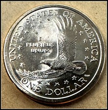 2007 P Sacagawea Dollar Uncirculated US Mint- picture