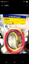 YELLOW JACKET, 29984, 48