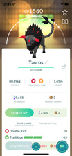 Paldean Tauros Blaze Breed  Same Day Shippment or Next Day Guaranteed  Go picture