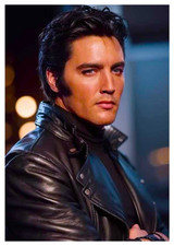 ELVIS 5
