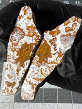 Rare Wingate Plume Agate Death Valley Polished  picture