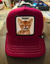 Goorin Bros. Frisky Whisky Cat Trucker Hat Adjustable Very Rare picture