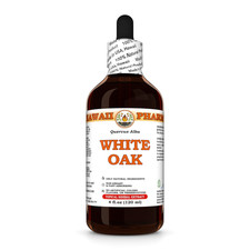 White Oak (Quercus Alba) Dried Bark Liquid Herbal Extract picture