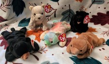 Ty Beanie Baby Lot of 5 Almond Cinders Sammy Cubbie Blackie picture