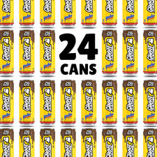 GHOST Yoo-Hoo Chocolate Protein Drink 25g Protein 11 fl oz 24 Pack RTD Cans picture