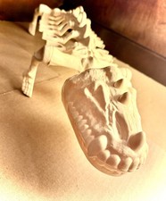 Vtg 1984 Mattel Masters of the Universe MOTU Battle Bones Vehicle Case Complete picture