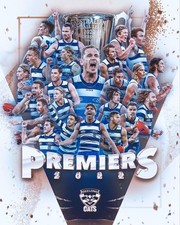 Geelong Cats 2022 AFL Premiers Championship Team Poster picture