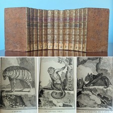 1769 Buffon Natural History 13 Vol Leather Set Histoire Naturelle 200+ Plates picture