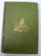 ANTIQUE 1895 1st Edition BRITISH BIRDS Hudson BEAUTIFUL Chromoliths ILLUSTRATED picture