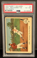 Ted Williams 1959 Fleer - 