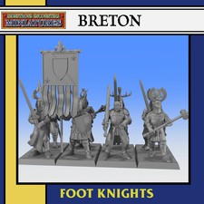 Monstrous Encounters 28mm/32mm Breton Foot Knights picture
