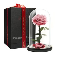 LOVAPPY Forever Preserved Rose Glass Dome (Pink, 9 Inch) picture