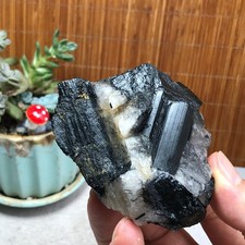 266g Natural Beautiful Black tourmaline Quartz specimen Crystal Healing A6193 picture