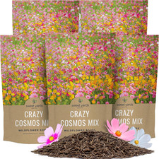 Bulk Cosmos Seeds Wildflower Mixture - 5 Pounds - over 400,000 Seeds - Pink, Yel picture