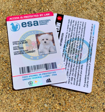 ESA ID CARD FOR EMOTIONAL SUPPORT DOG / CAT ANIMAL / SERVICE DOG - HOLOGRAPHIC picture