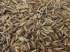 Hand-Harvested Wild Rice - 100% Natural NOT Cultivated Minnesota-Grown picture