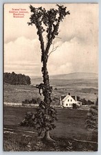 1906  Bradford  Vermont  Goshen Avenue Postcard picture