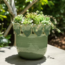 Green Ceramic Sculpted Leaf Applique Decorative Planter (6 in. W x 5.25 in. H) picture
