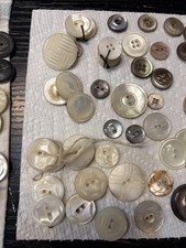 Massive Estate Lot Antique Mother of Pearl Abalone Shell Buttons from Grandpa picture