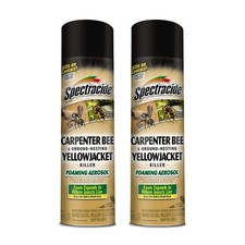 Carpenter Bee and Yellow Jacket Insect Killer 16oz Foaming Aerosol (2 Pack) picture