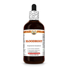 Bloodroot (Sanguinaria Canadensis) Dried Root Liquid Herbal Extract picture