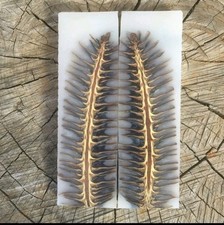 Custom Made Stabilized Pine Cones Resin Pair Scales For Knife Making Handle 2978 picture