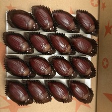 Frans’ X Coraline Cocoa Beetles Candy Laika Limited Edition Chocolate Beetle New picture