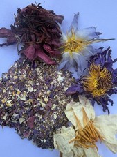 Nymphaea Caerulea nouchali Red, Blue & White lotus petals & stamens pre ground picture