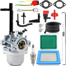 Carburetor carb for Troy Bilt CS4210 Model 24a-424g766 Chipper Shredder picture