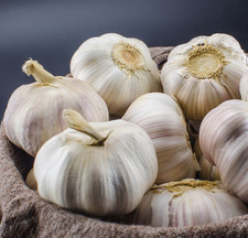 Non-GMO California Early Softneck Garlic | 2026 Heirloom Seeds for Fall Garden P picture