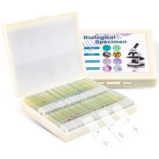 100 Prepared Microscope Slides with Specimens for Kids Adults - Bacterium, Fungu picture