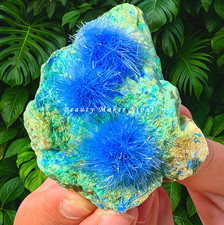 50-80G Rare Dandelion zeolite Quartz Crystal Cluster Mineral Rock Specimen Decor picture