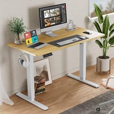 40-63 Inch Electric Height Adjustable Desk Home Office Standing Computer Table picture