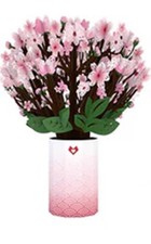 Lovepop BEST & Beautiful Garden Super Pack Cherry Blossom Bouquet, GREAT GIFT picture